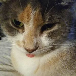 Meet your Posher, Jessie